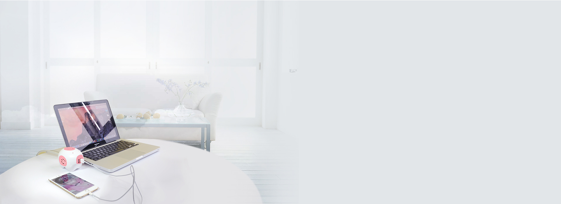 智能分配，充电迅速 2个2.1A的US...